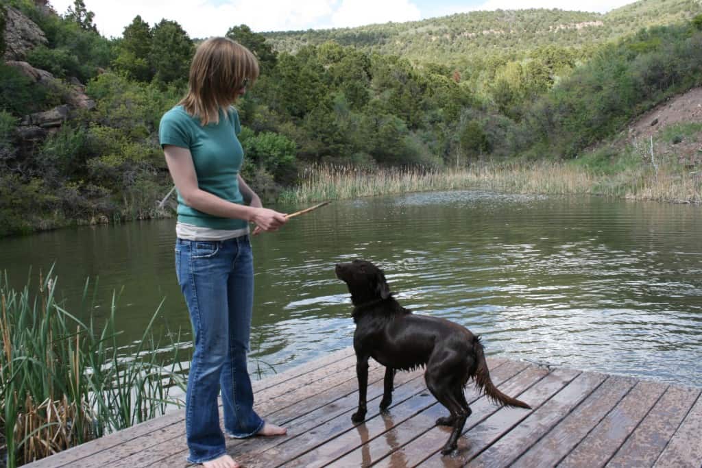 pet-friendly vacation lodge near Moab, Utah