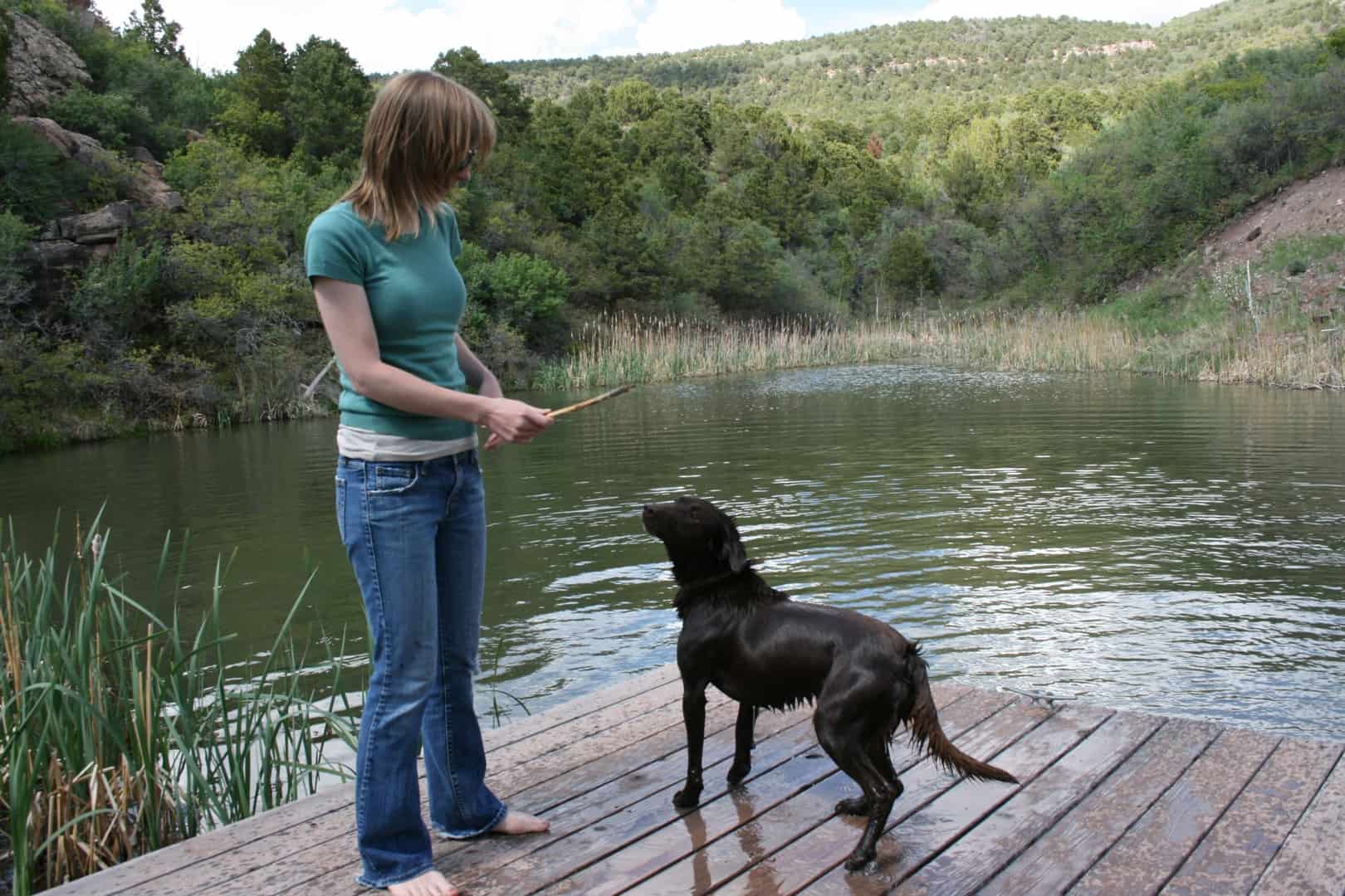 Pet Friendly - Whispering Oaks Ranch